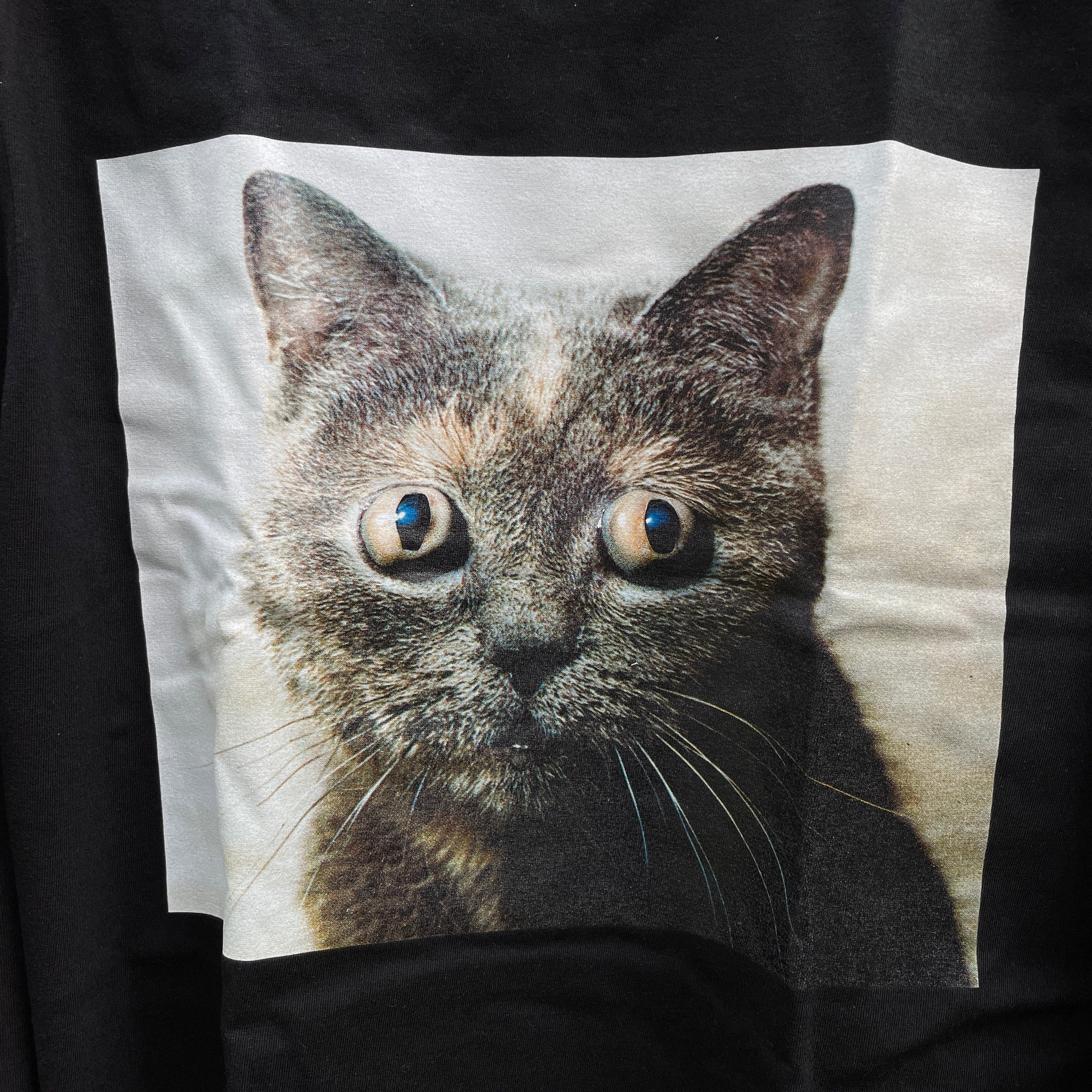 よゆみし　Tシャツ3種 The DUFFER of ST.GEORGE tシャツ 8oz HEAVY WEIGHT BASIC SIZE